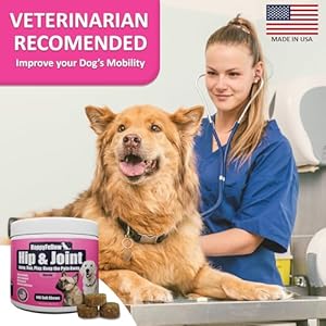 Hip and Joint Supplement for Dogs – Mobility Aids Glucosamine Chondroitin for Dogs Arthritis Pain Relief Anti Inflammatory, Small Large Breed Advanced Support, Pain Relief, 140 Soft Chews