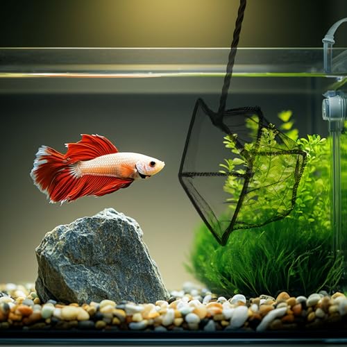Image of Lpraer 4in 5in 6in Aquarium Fish Net Green Fine Mesh Nylon Net Collection with 11 inch Long Handle Square Quick Catch Fish Net for Fish Tank