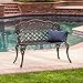 Christopher Knight Home Santa Fe Cast Aluminum Garden Bench