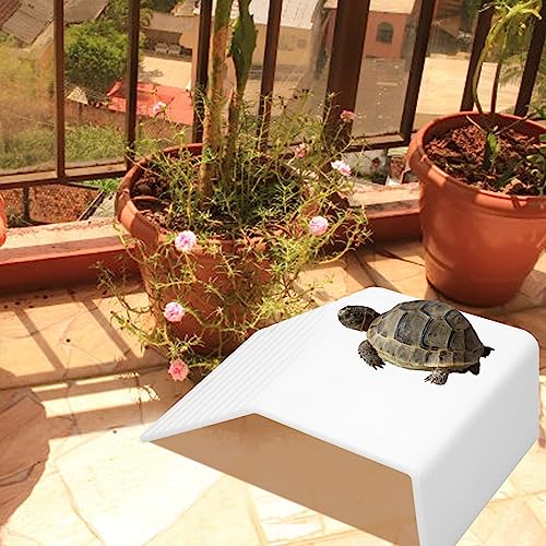 Reptile Basking Terrace, Tartaruga Durable Basking Platform Acrílico Paisagismo para Aquário (L)