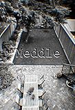  Meddle (English Edition)