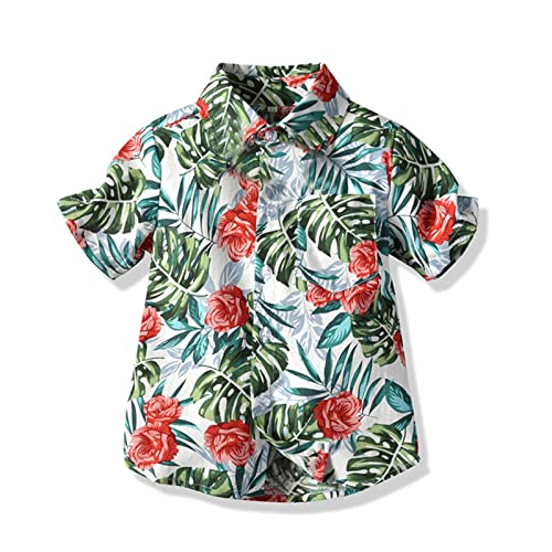 Toddler Kids Boys Short Sleeve 𝐇awaii Shirt Print Crew Neck Button Down Cotton Tops Beach Casual Holiday Shirt2