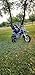 Adjustable Height YAMAHA TTR50 KIDS YOUTH - Dirt Bike TRAINING WHEELS Yamaha TTR 50 - Bike Not Included -