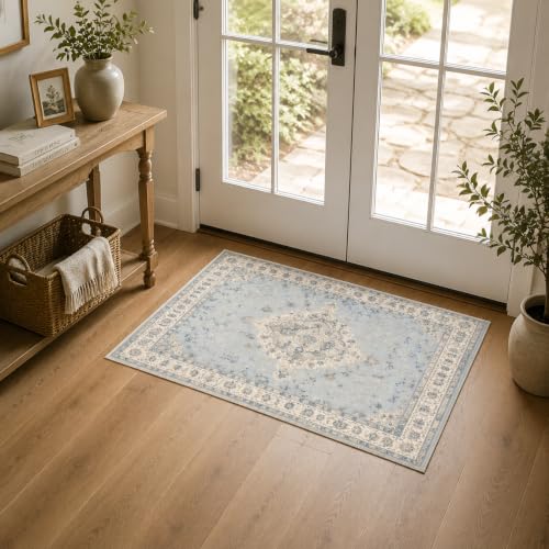SLCCCCOUSD 2x3 Washable Area Rug