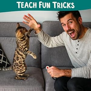 ALBERT-MIA-Cat-Training-Kit-4-Pieces-Quiet-Clicker-Target-Stick-Clicker-Treats-Pouch-Cat-Clicker-Training-Start-Guide-Beginner-to-Expert - Cucciolini Doodles   ALBERT-MIA-Cat-Training-Kit-4-Pieces-Quiet-Clicker-Target-Stick-Clicker-Treats-Pouch-Cat-Clicker-Training-Start-Guide-Beginner-to-Expert
