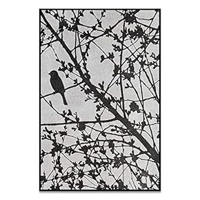SIGNWIN Framed Canvas Wall Art Black Tree Branch...