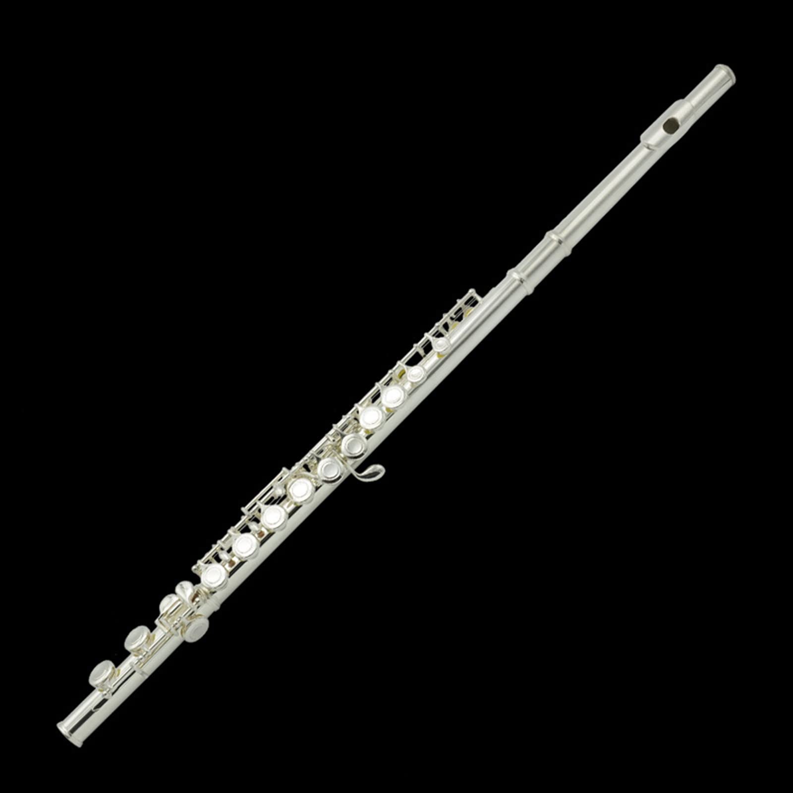 Studente Flauto Flauto Da Esame A 16 Buche Placcato Argento Flauto C-tune Strumento Musicale Flauto Principiante Studente Placcato Argento Flauto Set