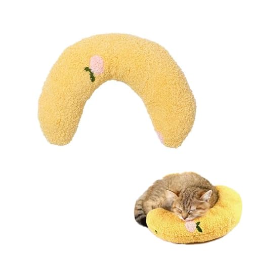 Home Dog Beds