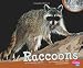 Raccoons (Nocturnal Animals)