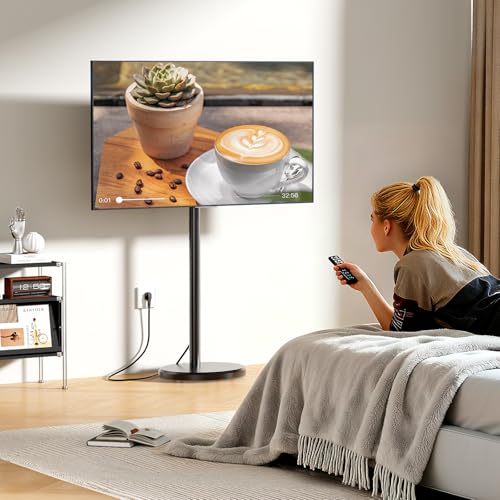 BEISHI Small Mobile TV Stand for Most 10-48 Inches TV,Rolling TV Cart with Height Adjustable,&plusmn;10&deg; Tilt, 360&deg;Swivel, &plusmn;30&deg;Leveling,Max VESA 200X200mm,for Live Streaming,Home,Office (Black)