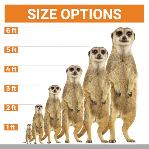 Image of Meerkat 6FT Life Size Cardboard Cutout, Animal Standup, 1 PC | Animal Standup for Events, Party Decorations, Birthday Celebrations, Photo Booth Props, Home & Office Decoration