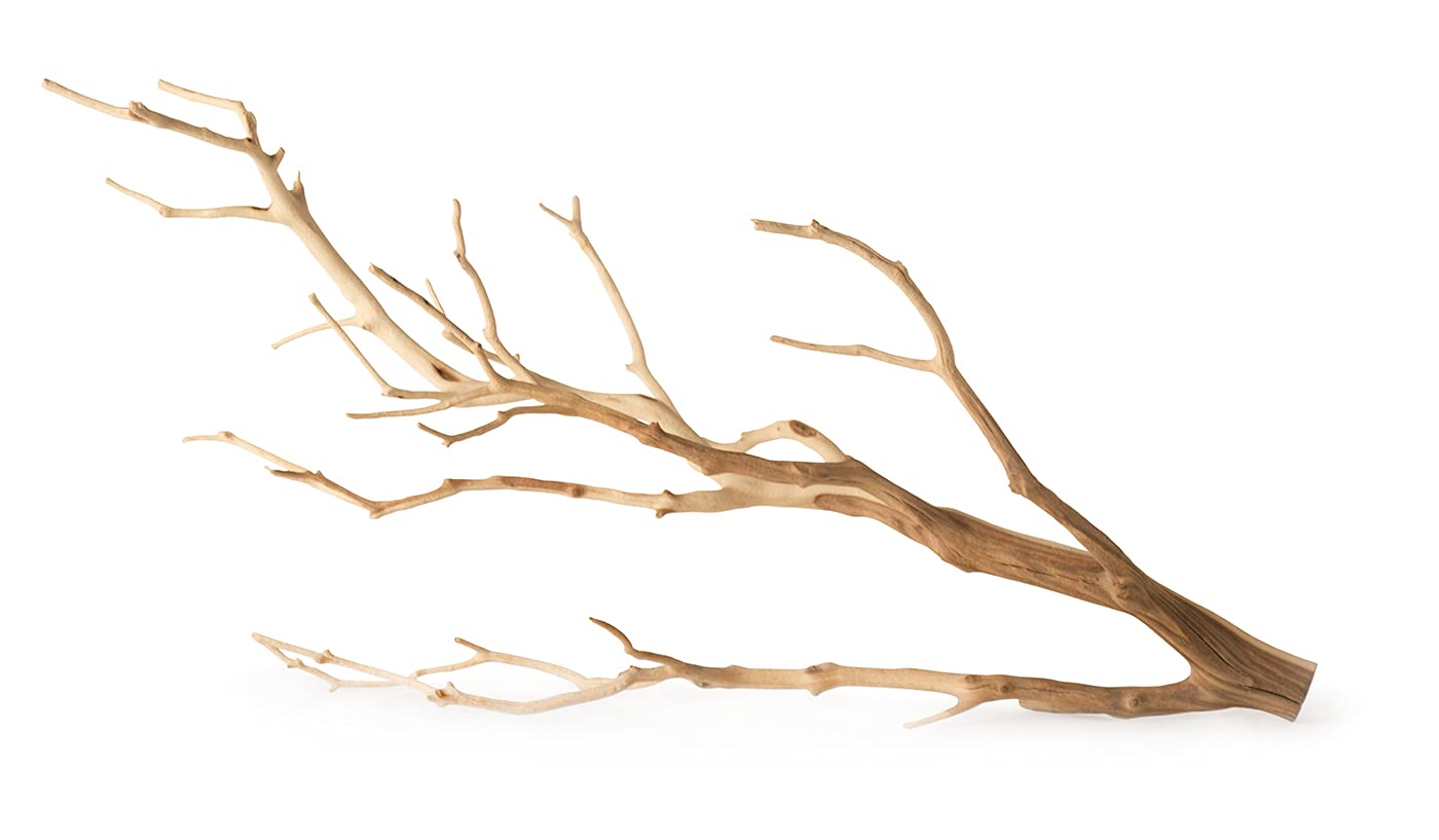 Branche de cerf Galápagos 05517 décor naturel 33-45 cm pour terrarium