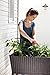 Keter Easy Growing Garden Raised Garden Bed Elevated Vegetable Planter - Anthracite