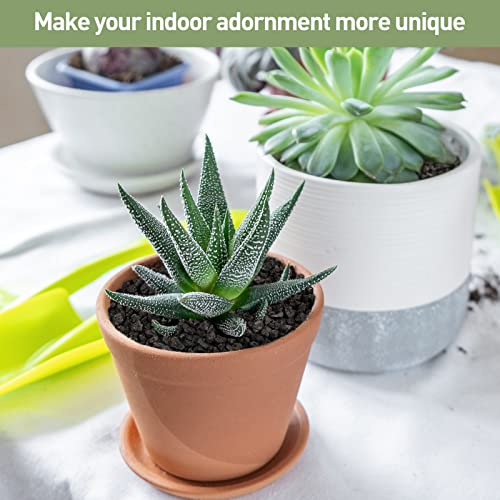 Gaspro 2.5Lbs Lava Rocks For Plants, 1/5 Inch Black Gravel For Succulent, Cactus, Bonsai Tree, Pure Volcanic Rocks, Top-Dressing, Good Drainage #TOP5