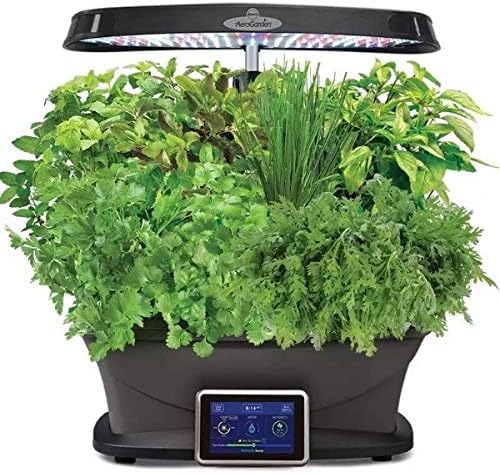 Asian Herbs Seed Pod Kit for Aerogarden (9-pod)