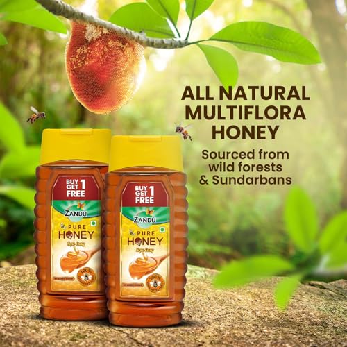 Image of Zandu Pure Honey Squ-Easy (Buy 1 Get 1 Free), 800 g (400 g + 400 g)