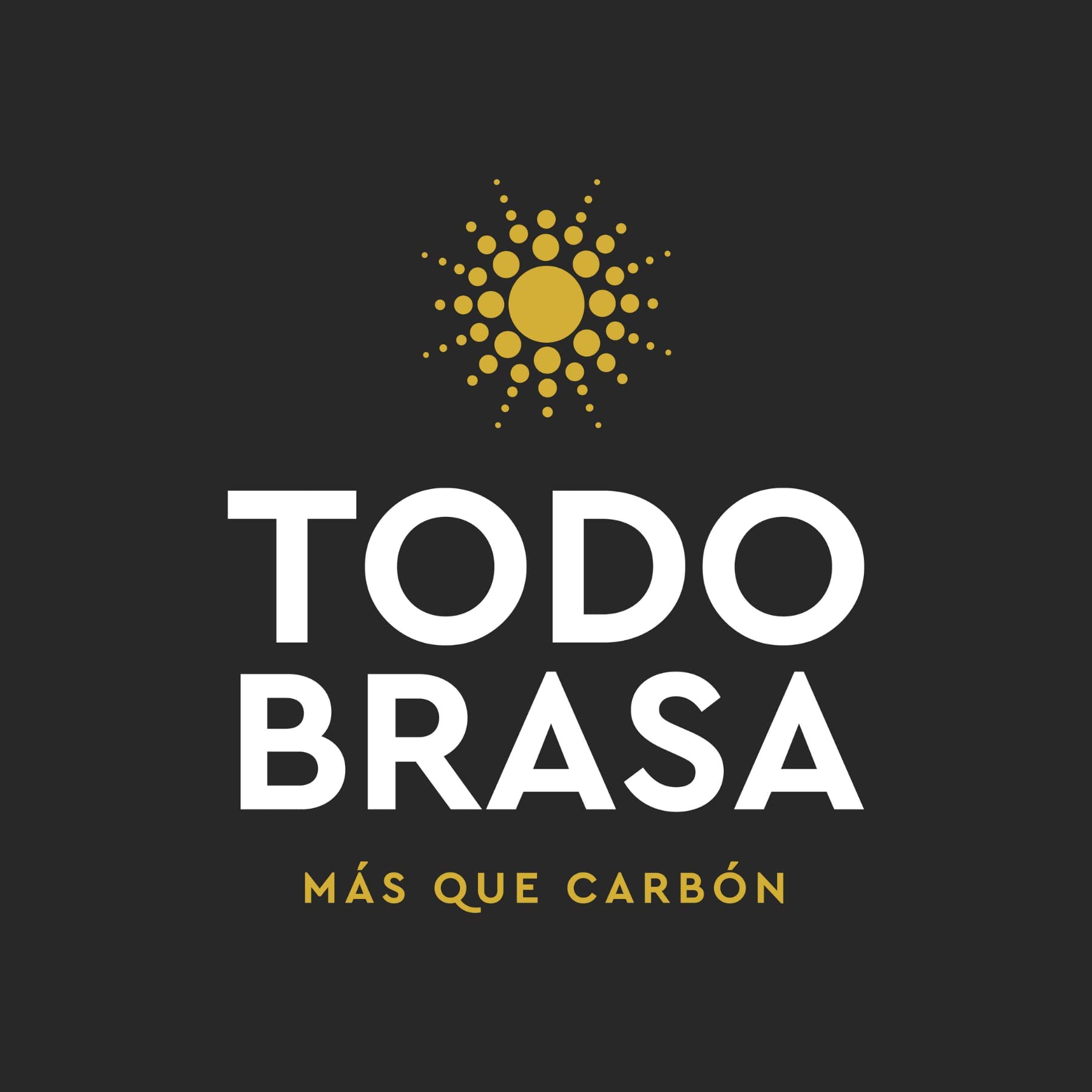 Todobrasa Argentino 2 x 10kg Saco de Carbón Vegetal para Barbacoa