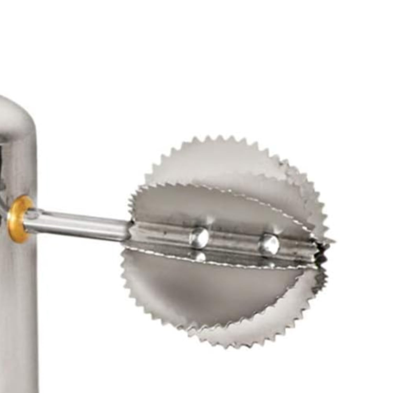 Grattoir à Noix De Coco Acier Inoxydable - Râpe Multifonction, écailles Poisson, 5 Mâchoires