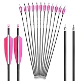 SHARROW 6/12 Pack 30 Inch Archery Carbon Arrows Practice Hunting Arrows Spine 500 with 4 Inch Turkey Feathers 100 Grain Removable Tips for Compound Recurve Bow (Pink Arrow, 12 Pack)