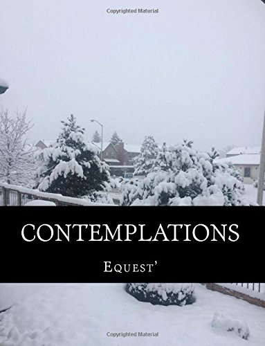 Contemplations: Poetry by Equest'
