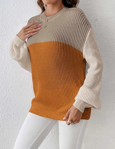 Image of Zeagoo Women 2026 Fall Lightweight Oversized Sweater Crew Neck Long Sleeve Color Block Pullover Rib Knit Blouse Tops XS-2XL