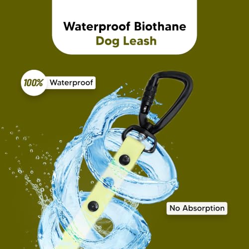 Image of Adil's Biothane Waterproof Dog Collar, Dog Leash & Collar Leash Combo | Heavy Duty TPU Coated Webbing | Adjustable Quick Release Buckle | Odour Resistant (Yellow, M-18, Leash Only)