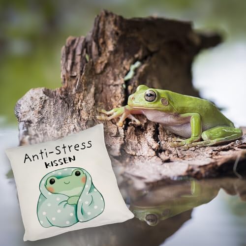 speecheese Frosch in Blauer Decke Kissen mit Spruch Anti-Stress Kissen Entspannendes DekoKissen im Kawaii Design - Süßes Relax Bettzubehör für Anti-Stress Entspannung