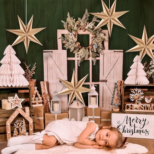 Image of SUNBEAUTY 3 Pcs 7-Pointed Natural Paper Star Lanterns 12 Inch Christmas Hanging Lamp Rustic Paper Decorations Shade Wedding Birthday Christmas Home Party Decorations
