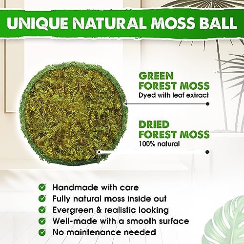 Duspro DUSPRO99 Moss Balls Decorative, 6 Pack 3.5 Inch Handmade Moss Balls For Bowls, Decorative Balls For Centerpiece Bowls, Faux Dried Moss Balls, Decorative Vase Filler Balls thumb #2