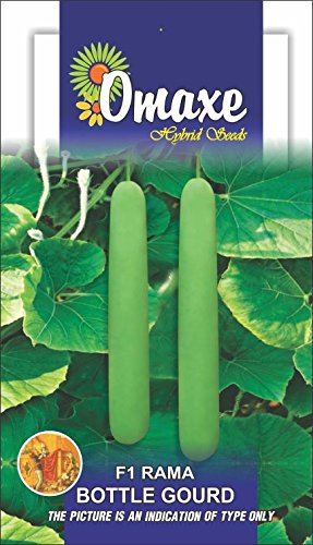 Omaxe BottleGourd F1 Rama -3 Packets Each Contains 3gm Seeds (B00LC0KGLA) Amazon Price History, Amazon Price Tracker