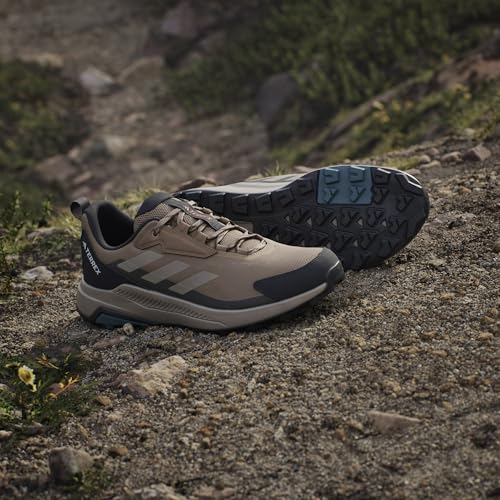 Image of adidas Mens Terrex Anylander Hiking Shoe