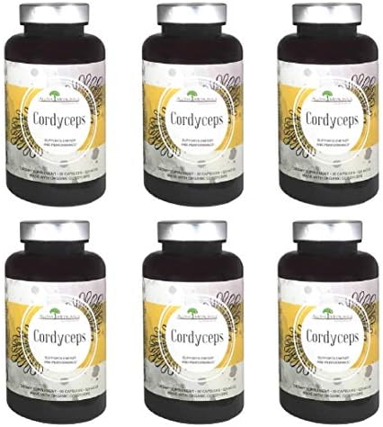 Aloha Medicinals - Pure Cordyceps - Certified Organic Mushrooms – Cordyceps Militaris – Cordyceps Sinensis - Supports Immunity, Energy and Stamina - 525mg - 90 Vegetarian Capsules (6 Pack)