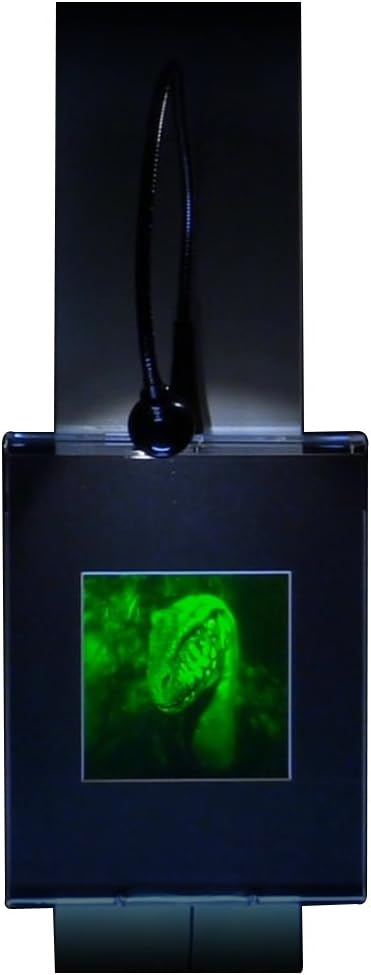 3D Velociraptor 2-Channel Hologram Picture (MATTED),Collectible Photopolymer Type Film image 3