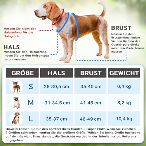 Hundegeschirr + Leine - Mittelgroß, Husky Blau - Weich gepolstert, No Pull Design Haustiergeschirr + Reflektierende Streifen für kleine + mittelgroße Hunde - von EcoEarth