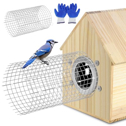 Ansonation 2 Pcs Bluebird House Predator Guards,Bird Nest Blocker Stainless Bird House Protector Snake Guard for Eastern Bluebird Homes and Their Babies Safe (Round)