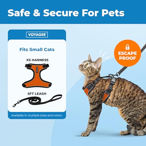 Image of Voyager Escape-Proof Step-in Lock Cat Harness & 5ft Neoprene-Handle Leash Set All-Weather Mesh with Reflective Stitching for Small to Large Cats by Best Pet Supplies, Black Trim-Orange (327), XS