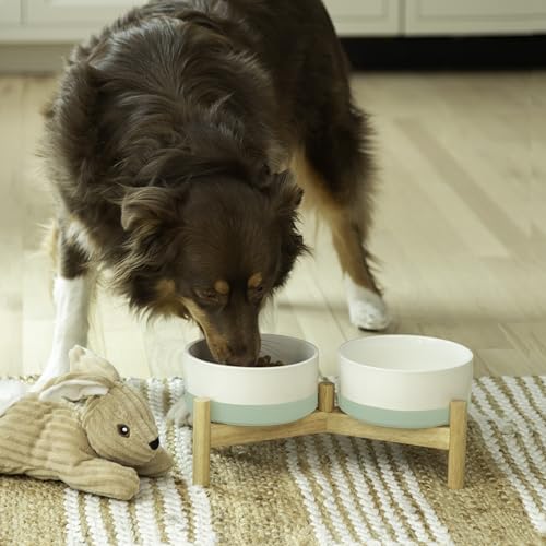 Ilyapa �Z���~�b�N���p�{�E�� - ���^�y�b�g�p ����オ�����H�ו��Ɛ��Z�b�g - �O���[�� �_�u�� 6�C���`�A783.8 g �{�E�� & 13 x 6.3 x 5.5 �ؐ��X�^���h