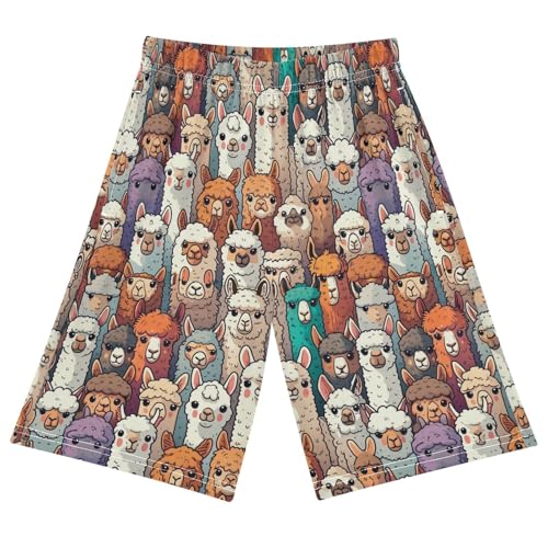 ALAZA Alpaca Llama Animal Vintage Pajama Shorts Sleep Shorts Pant Lounge Pajama Bottoms Elastic Waist with Pockets