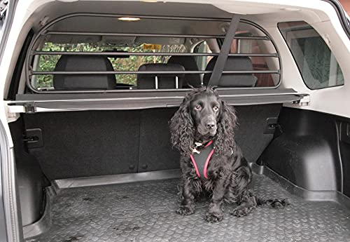 ERGOTECH Filet Grille de séparation Coffre pour Dacia Duster (2009-2017), RDA65-M8 kda002, pour Chiens et Bagage ERGOTECH Filet Grille de séparation Coffre pour Dacia Duster (2009-2017), RDA65-M8 kda002, pour Chiens et Bagage