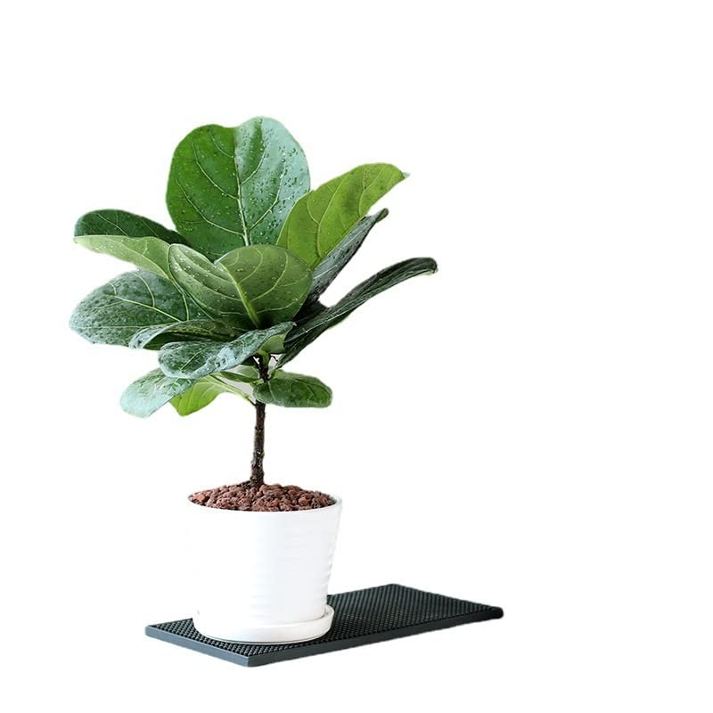 Artificial Tree Artificial Banyan Tree Plant White Ceramics Pot, Green Artificial Plants Branch Fake Ficus Tree Plastic Banyan Leafs Rubber Small Oak Foliage for Home Desktop