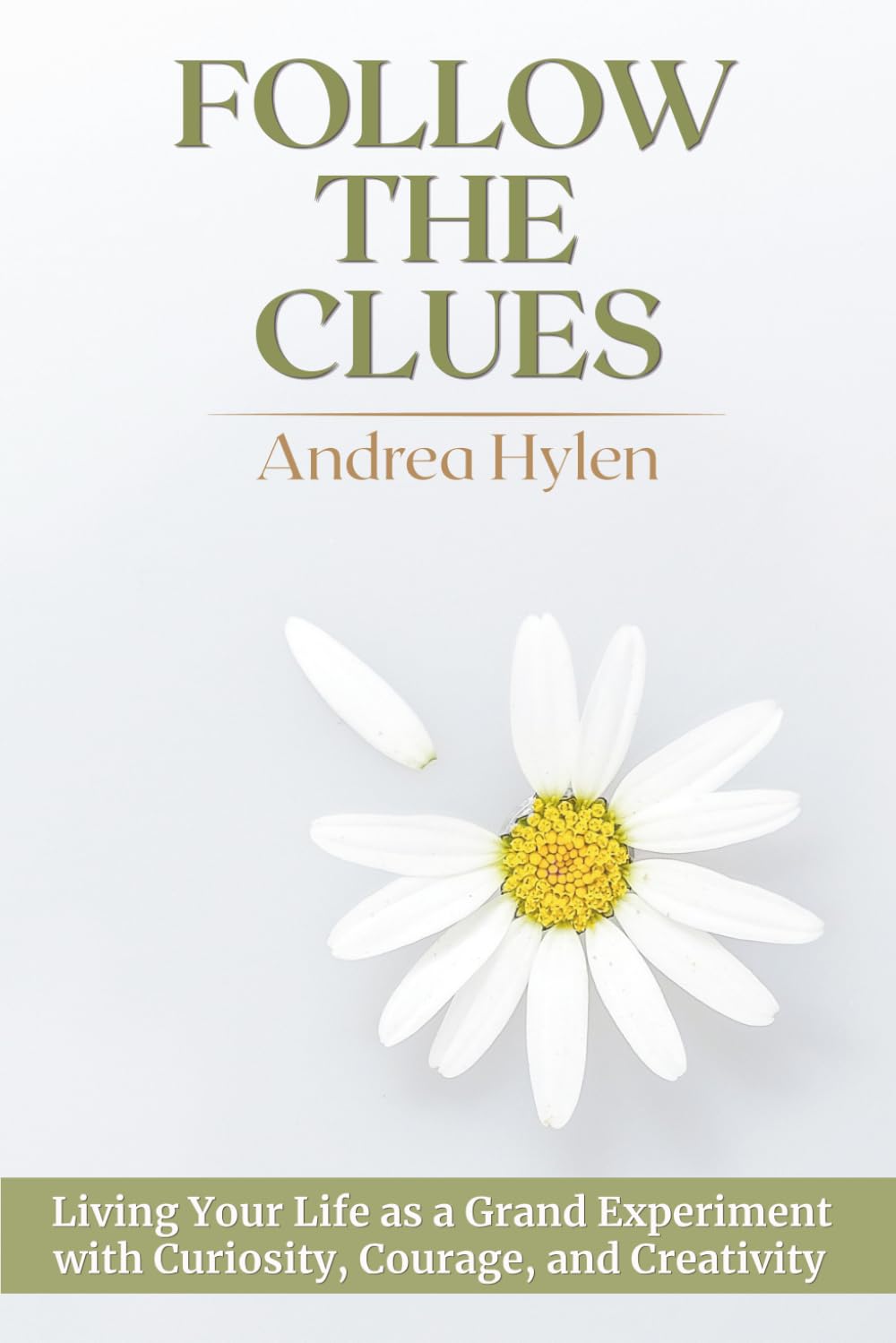 Follow the Clues: Living Your Life as a Grand Experiment with Curiosity, Courage, and Creativity