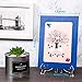 Clear Acrylic Easels or Stands/ Plate Holders to Display Pictures or Other Items, Small Size (Clear)