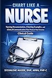 Chart Like a Nurse: Nursing Documentation, Charting Examples, and Clinical Communication That Protects Your License