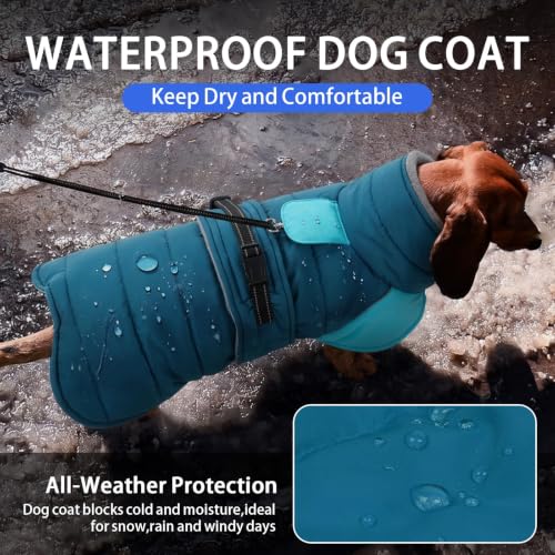 View 5