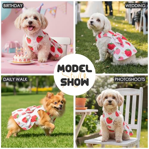 Dog Dress Harness Dresses Leash Set for Small Dogs Cute Girl Dog Clothes with Bowknot Puppy Outfits for Shih Tzu Yorkies Chihuahua - Image 7
