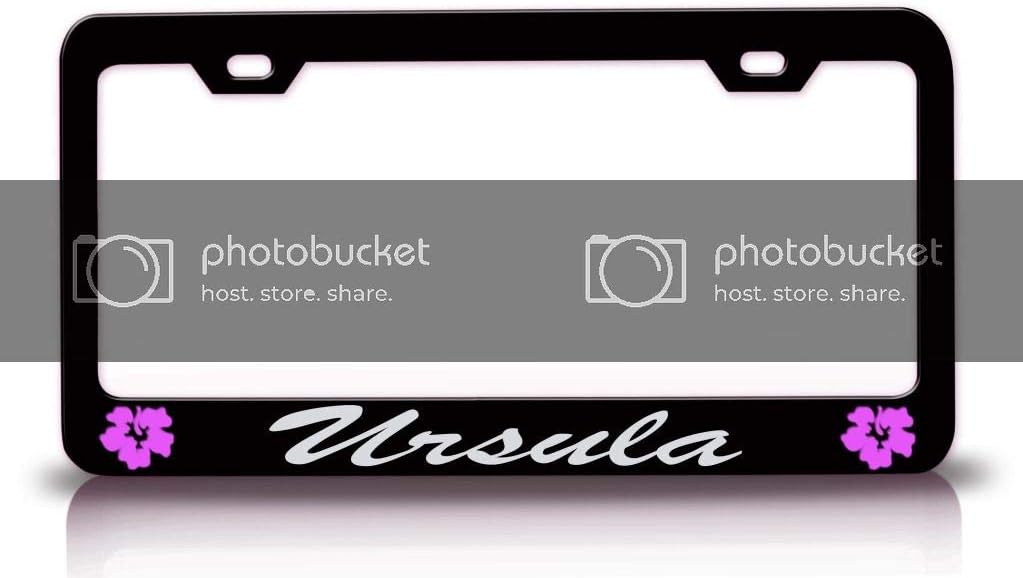 Ursula Female Name Hibiscus Metal Car SUV Truck License Plate Frame Bl t33