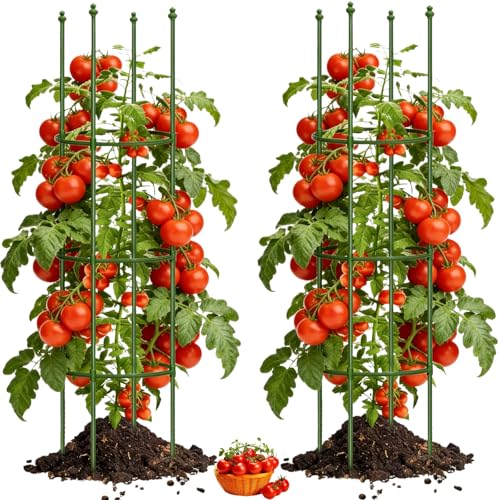2 Pack Heavy Duty Tomato Cages for Garden, 55.1Inch Tall Adjustable Metal Tomato Plant Support for Pots, Round Trellis for Climbing Plants Outdoor, Vegetable, Cucumber, Beans(11.8" Wide)