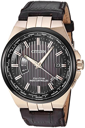 Citizen Men's World Perpetual A-T 42mm Brown Leather Band Steel Case Eco-Drive Black Dial Watch CB0168-08E