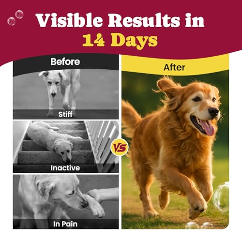 Image of Glucosamine for Dogs - Hip and Joint Supplement Chews for Senior & Large Breed, Joint Supplement for Dogs with Chondroitin, Wuffe Joint Chews for Pain Relief - 60-Day Satisfaction Guarantee - 180 Ct