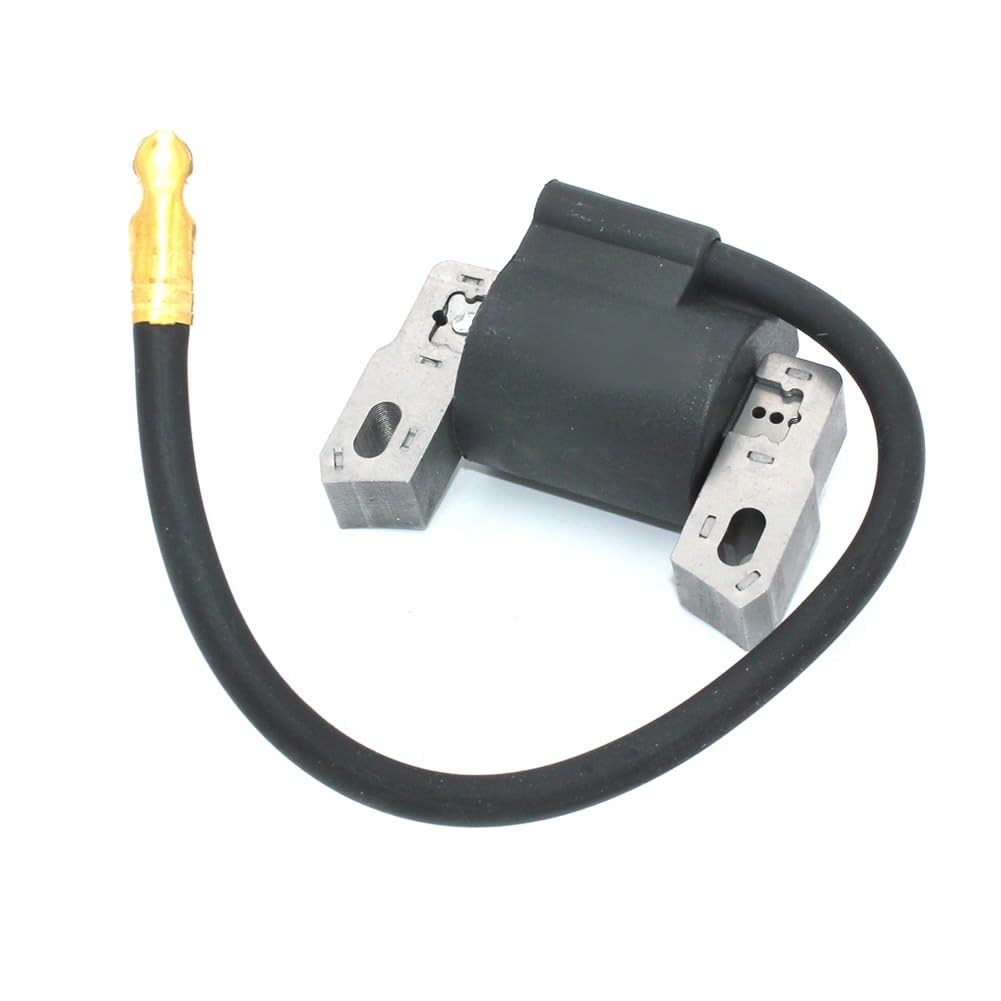 Bobina de encendido para motores 491760, 493237, 692605 y 790817